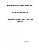 Conocimiento del mercado de camarás de seguridad