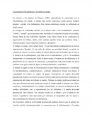 La perspectiva psicodinámica y el trabajo en equipo.