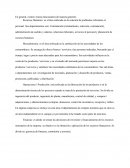 Áreas Funcionales de los Recursos Humanos