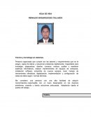 Técnico y tecnólogo en sistemas.