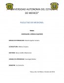 Celebrando a mexico- opinion.
