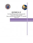 QUIMICA II Actividad de Organización y Jerarquización