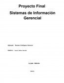 Sistemas de informacion gerencial.