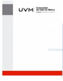 PROYECTO INTEGRADOR “CREACIÓN DE UNA EMPRESA”