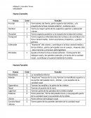 Huesos Craneales, Fasciales y Foramenes Craneales.