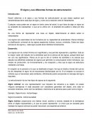 El signo y sus diferentes formas de estructuración