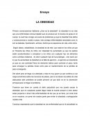 Ensayo: La Obesidad