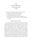 Taller comunitaria. PROYECTO COSTA ATLANTICA