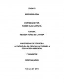 ENSAYO SOBRE MICROBIOLOGIA.