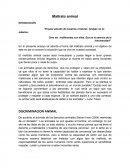 Maltrato animal. “El peor pecado de nuestras criaturas Amigas no es odiarlas,