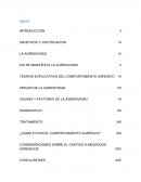 Psicopatologia agresividad