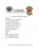 Descripción de Incredible pizza