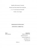 TRABAJO DE INVESTICACION (CONCIENCIA AMBIENTAL)