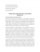 Derechos e identidad de los pueblos indígenas