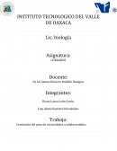 Origen de los cordados