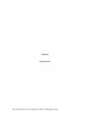 Auditoria interna y operacional