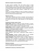 Definición de aparato músculo-esquelético