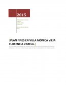 Plan Fines su impacto en la sociedad