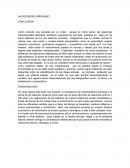 UN DESORDEN ORDENADO.