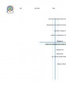 Practicas de laboratorio secado de materiales