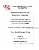 Centro De Investigación Para La Conservación Y Aprovechamiento De Recursos Tropicales (CICART)