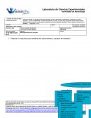 Organización y jerarquización laboratorio