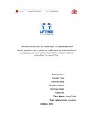 Proyecto de siembra patios productivos