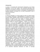 Ensayo de Desarollo Sustentable