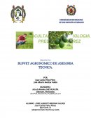 PROYECTO: BUFFET AGRONOMICO DE ASESORIA TECNICA