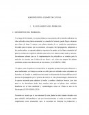 Proyecto de investigacion shampoo artesanal a base de cayena