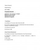 Tarea Propiedad Industrial