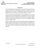 Características de los grupos de trabajo