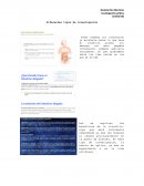 Clasificación de las ciencias.