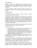 Asma bronquial es un padecimiento que se caracteriza por disnea espiratoria.