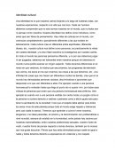 Ensayo: Identidad cultural