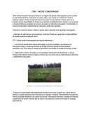 PASTOS Y CONCENTRADOS