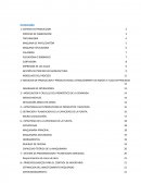 PROYECTO CARTON TERMINADO