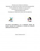 EVALUACION SOCIO-AMBIENTAL DE LA COMUNIDAD SABANA DEL BLANCO, UBICADA EN LA PARROQUIA LA PASTORA DEL MUNICIPIO LIBERTADOR, DISTRITO CAPITAL
