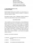FORMULACION DE ALEGATOS