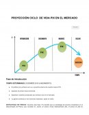 PROYECCIÓN CICLO DE VIDA PIX EN EL MERCADO