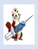 En una vía principal de mucho flujo vehicular; cerca de su lugar de residencia ocurre un evento donde se halla lesionado por accidente de tránsito