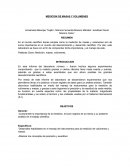 MEDICION DE MASAS Y VOLUMENES.