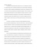 El sistema nervioso central.