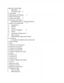 LA METODOLOGIA DE IMPLEMENTACIÓN DE REINGENÍERIA