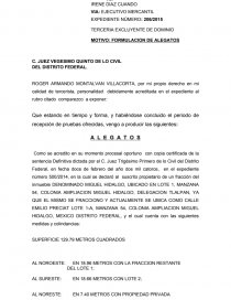 FORMULACION DE ALEGATOS. Página 1