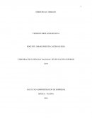 ENSAYO DE TRABAJO DECENTE EN COLOMBIA