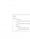 Violencia política: Indígenas Amazónicos