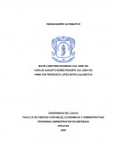 Parqueadero automatico