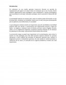 Farmacologia Preeclampsia
