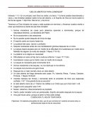 Cielos abiertos para comenzar